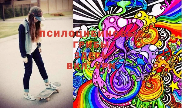 гашик Верхний Тагил