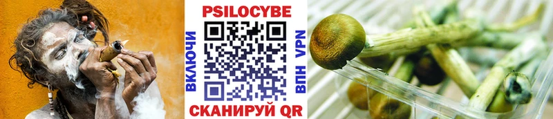 Купить закладки  Харовск  Псилоцибиновые грибы Psilocybe 